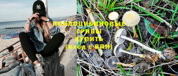 мяу мяу мука Новокубанск