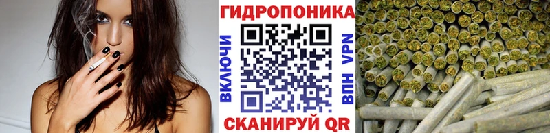 Каннабис OG Kush  магазин  наркотиков  Нелидово 